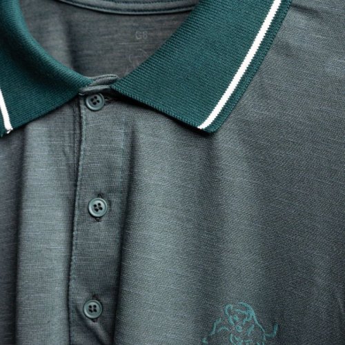 Camisa Polo RCA Verde